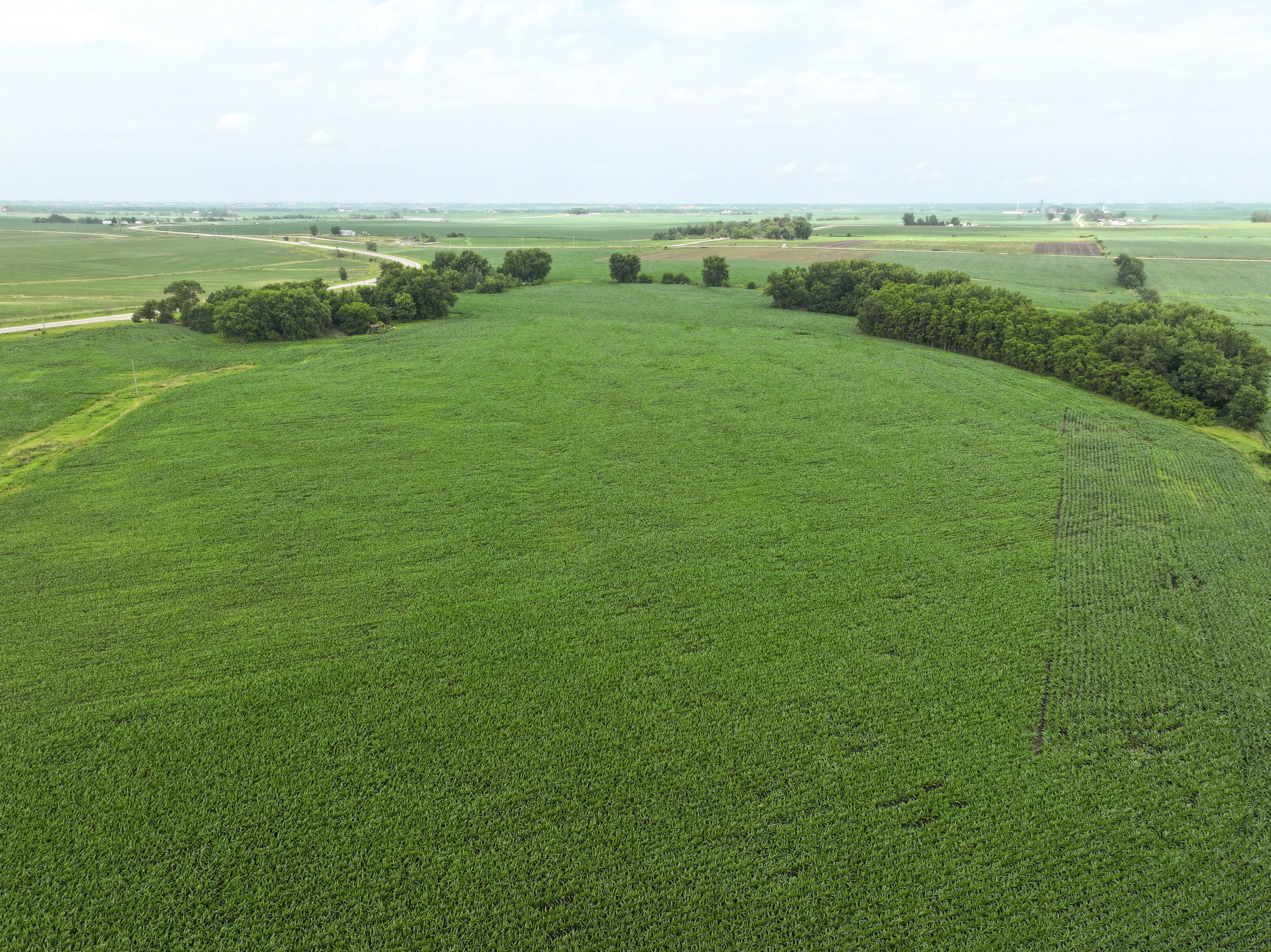 Listing Photo: 12 - Buchanan Co IA Land For Sale